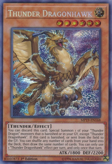 Image for Thunder Dragonhawk (MP19-EN168) (2019 Gold Sarcophagus Tin Mega Pack) - YuGiOh