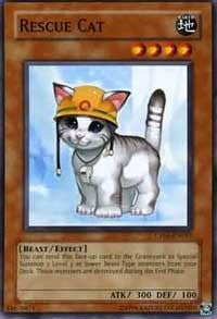 Image for Rescue Cat (CP05-EN015) (Champion Pack 5) - YuGiOh
