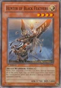 Image for Hunter of Black Feathers (TSHD-EN038) (The Shining Darkness) - YuGiOh